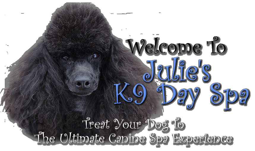Welcome to Julie's K9 Day Spa
