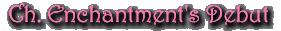 Ch. Enchantment's Debut