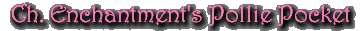 Ch. Enchantment's Pollie Pocket