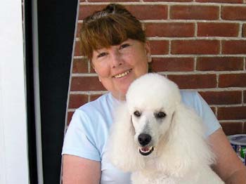 Gail with Enchantment's Oliver Twist