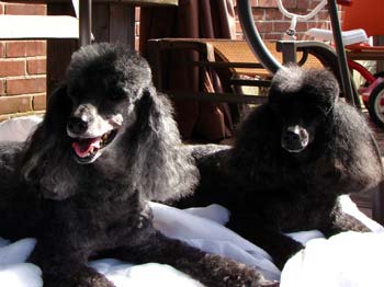 Mother and daughter, Jozie and Lucy